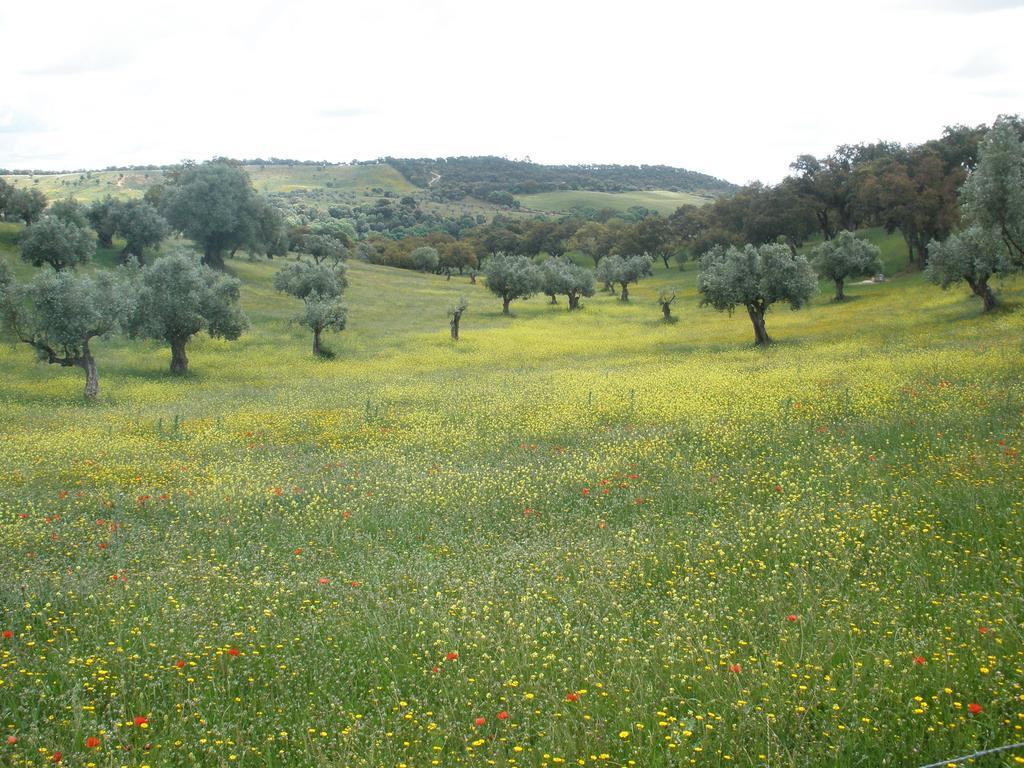 Quinta Da Mata Villa Sobral  Стая снимка