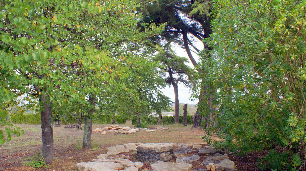 Quinta Da Mata Villa Sobral  Екстериор снимка